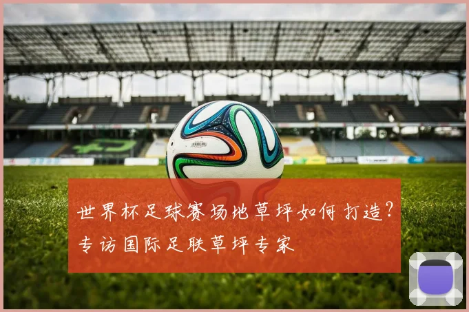 世界杯足球赛场地草坪如何打造?专访国际足联草坪专家
