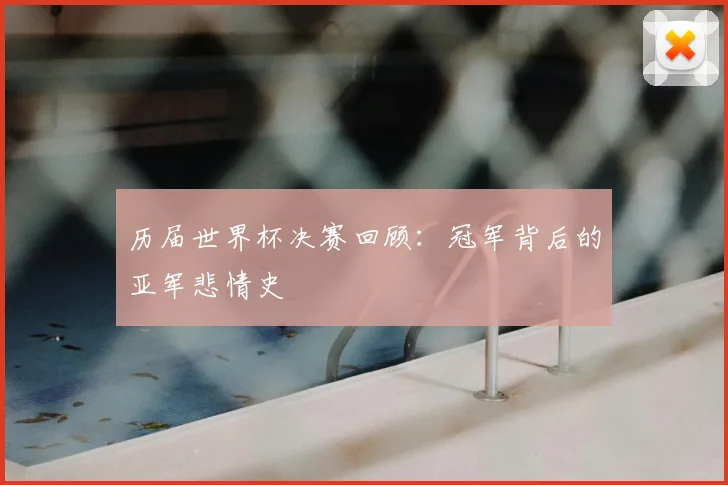 历届世界杯决赛回顾：冠军背后的亚军悲情史
