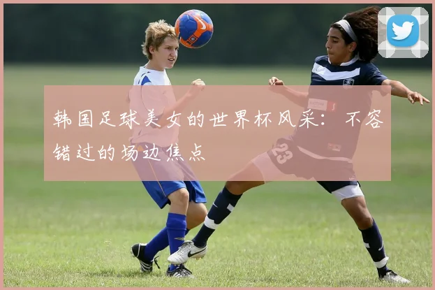 韩国足球美女的世界杯风采：不容错过的场边焦点