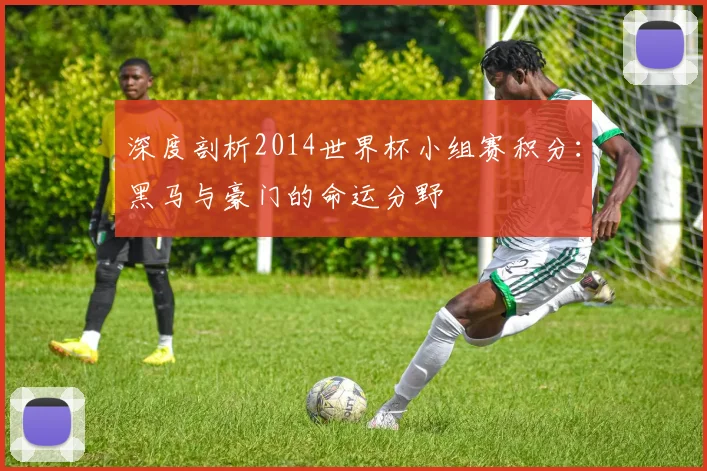 深度剖析2014世界杯小组赛积分：黑马与豪门的命运分野