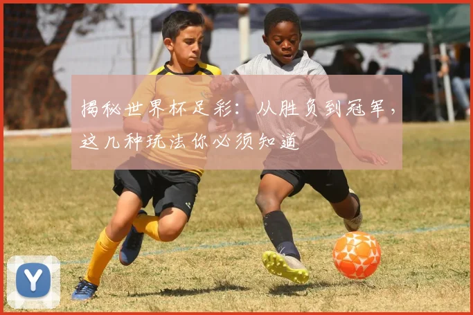 揭秘世界杯足彩：从胜负到冠军，这几种玩法你必须知道