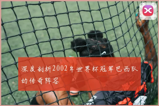 深度剖析2002年世界杯冠军巴西队的传奇阵容