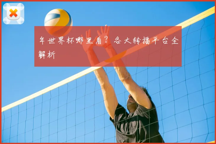 年世界杯哪里看?各大转播平台全解析