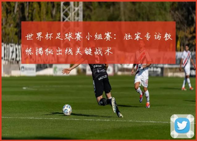 世界杯足球赛小组赛：独家专访教练揭秘出线关键战术