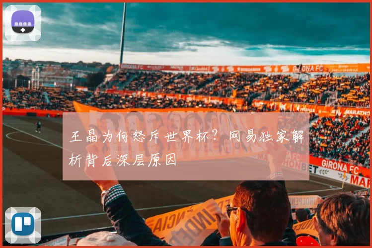 王晶为何怒斥世界杯?网易独家解析背后深层原因