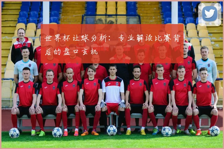 世界杯让球分析：专业解读比赛背后的盘口玄机