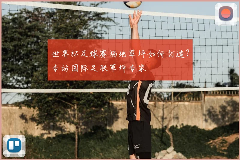 世界杯足球赛场地草坪如何打造?专访国际足联草坪专家